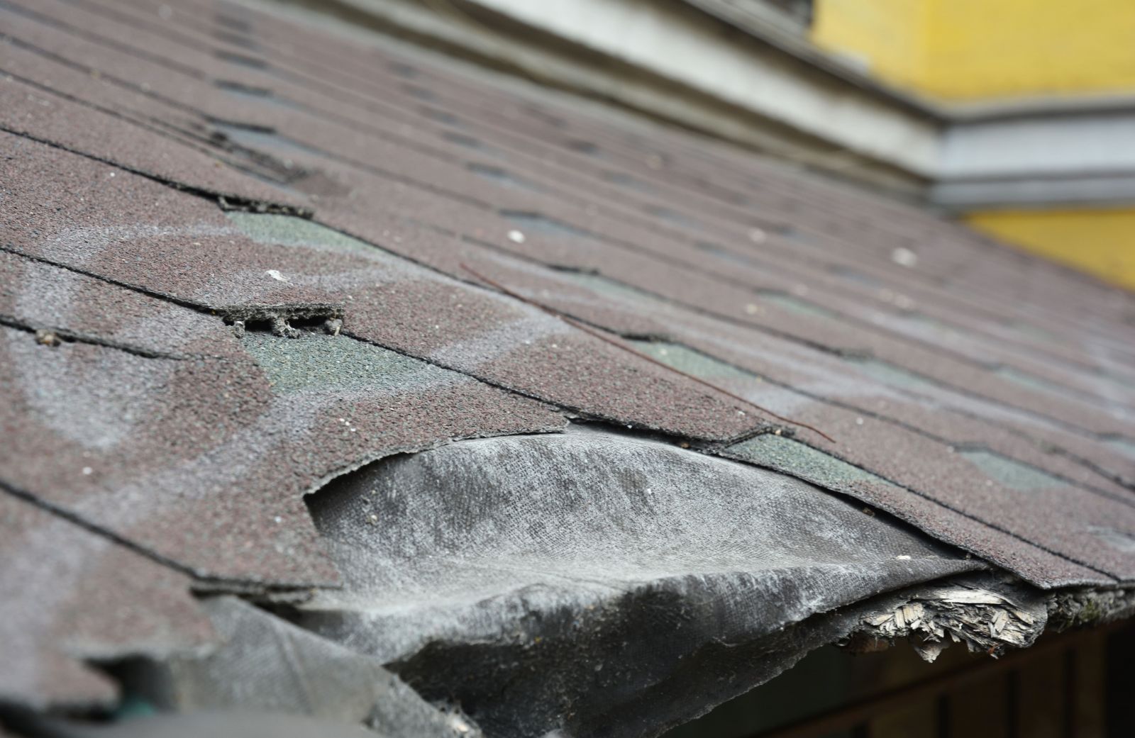 Nicolella Roofing Images