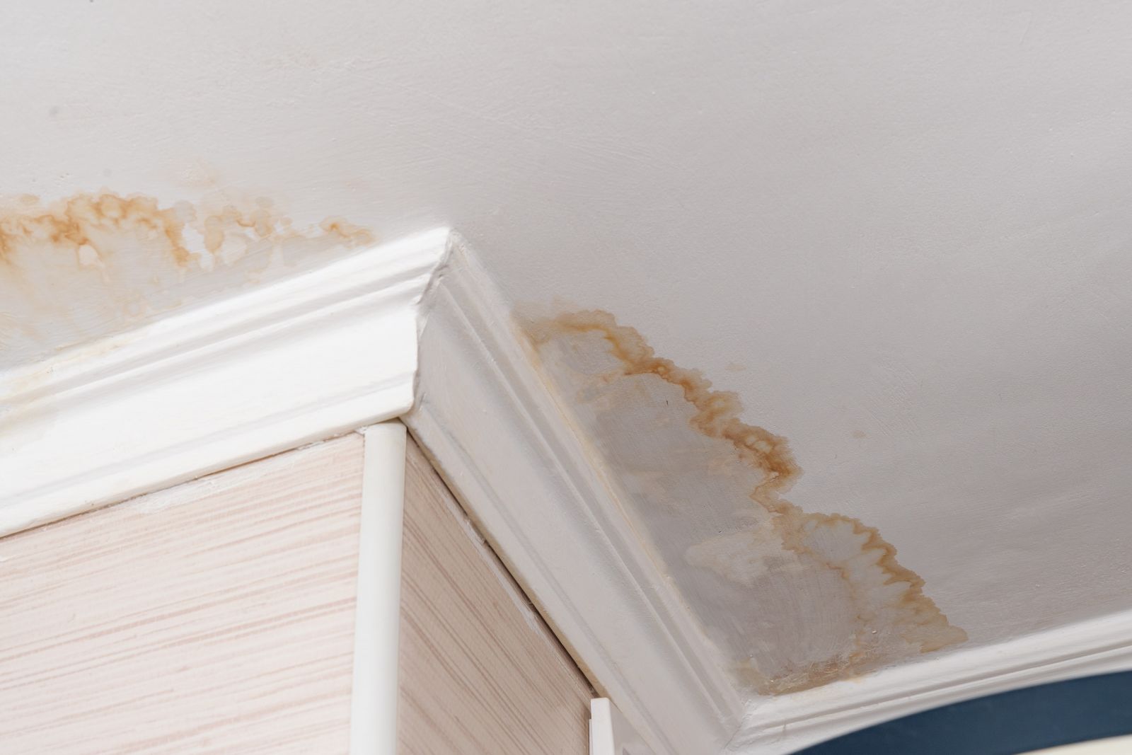 Nicolella Roofing Images