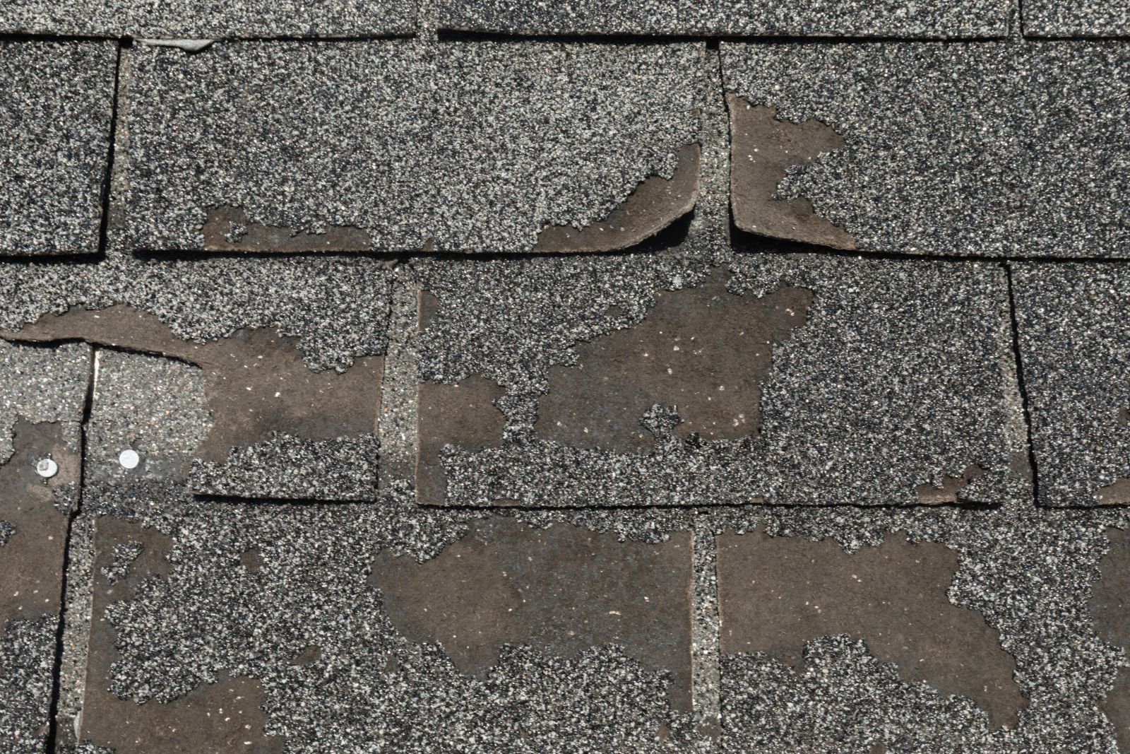 Nicolella Roofing Images